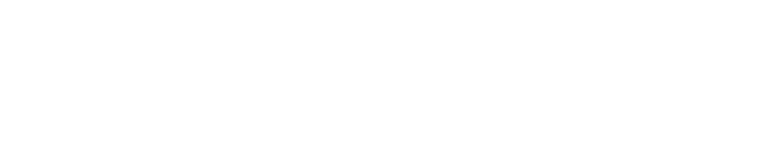 wibsas logo